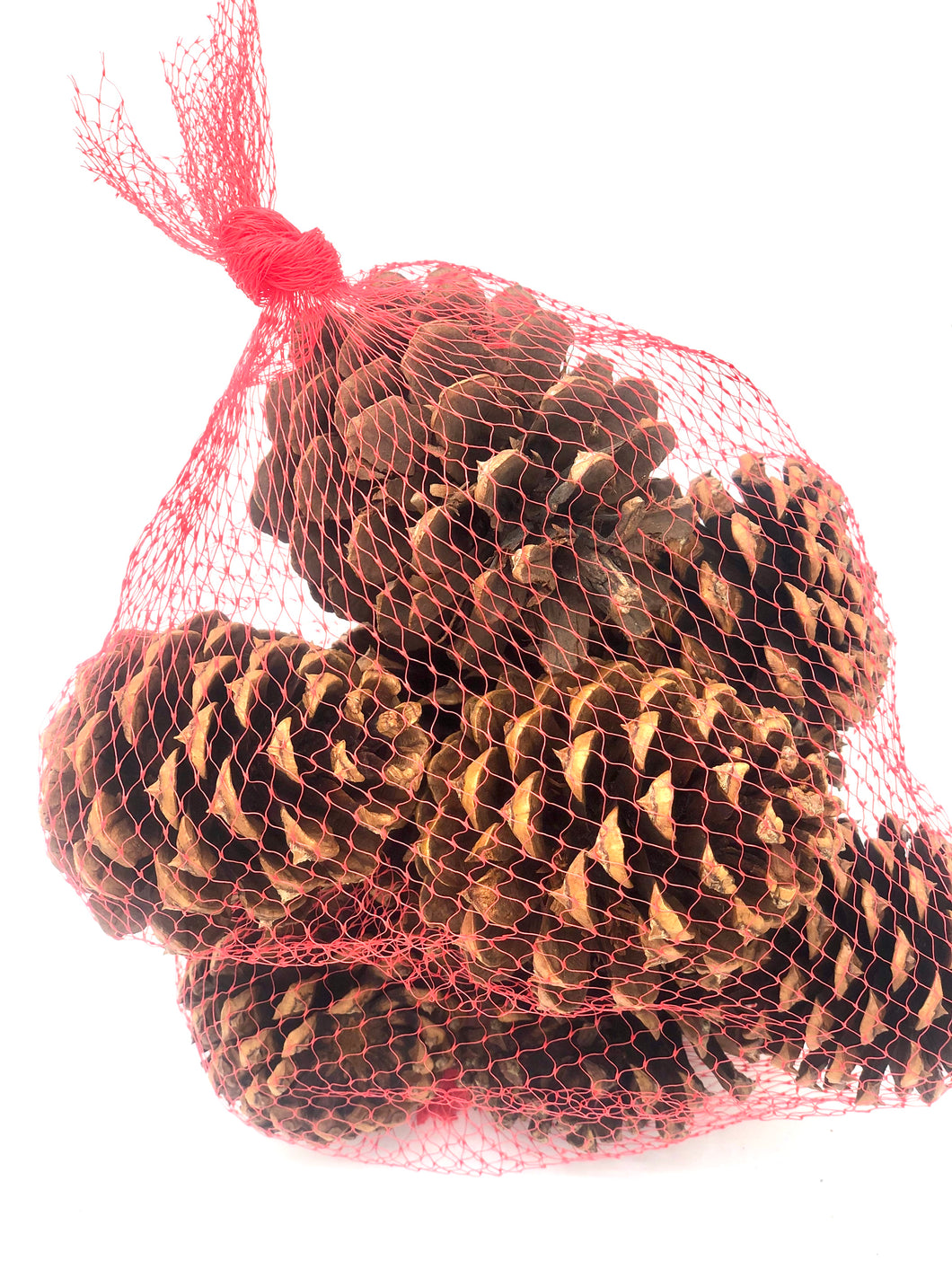 Pine cones